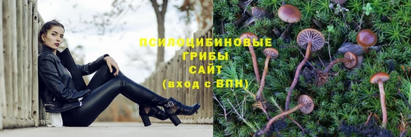 соль курить ск Алзамай