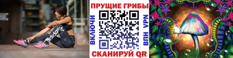 Галлюциногенные грибы мицелий  Щигры 